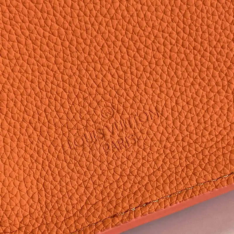 LV Bag 2204YA0098