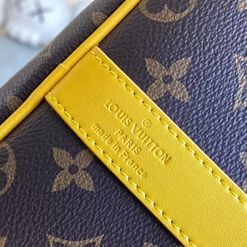 LV Bags 2405YA0021
