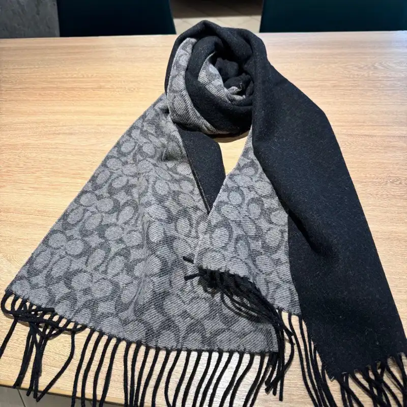 SCARVES scarves 2410SC0190