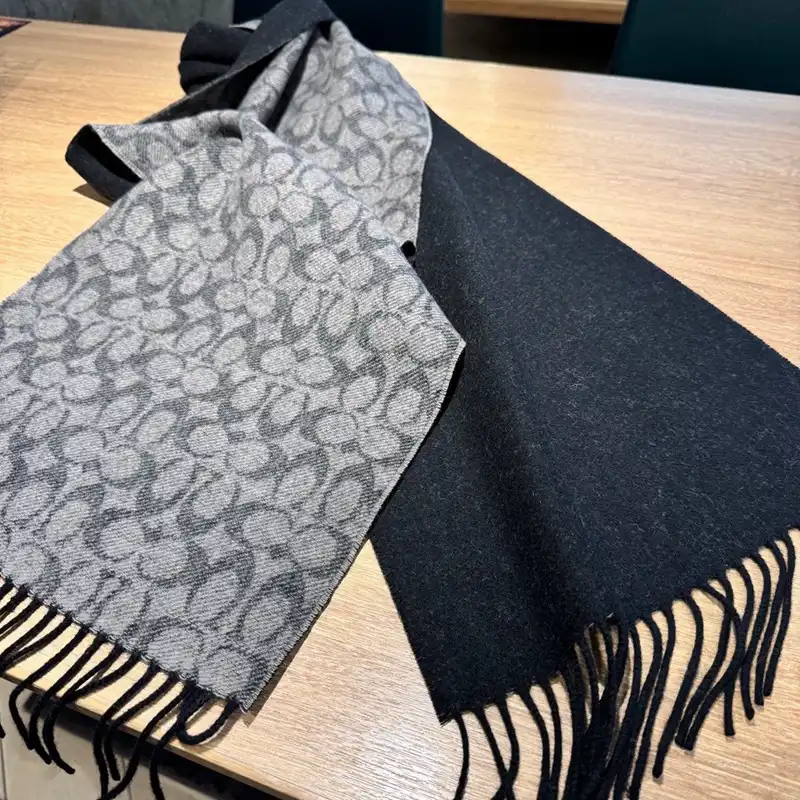 SCARVES scarves 2410SC0190