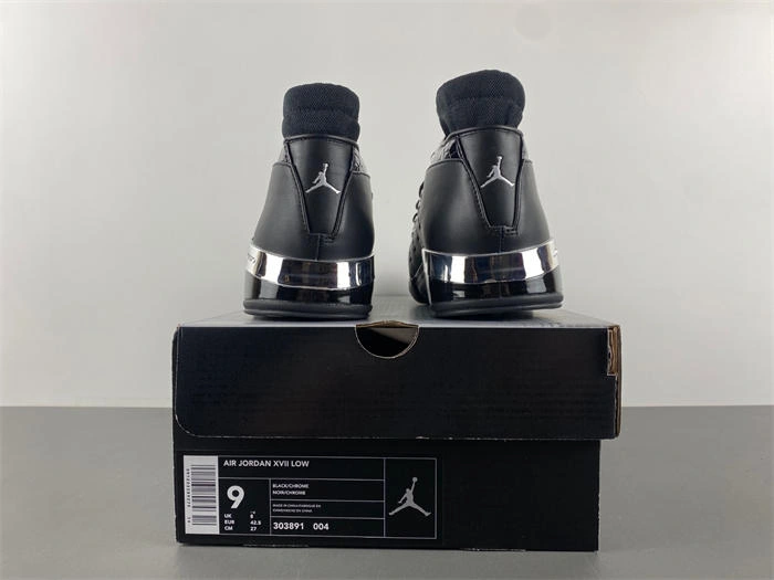Air Jordan 17 OG  303891- Minimalist 4192