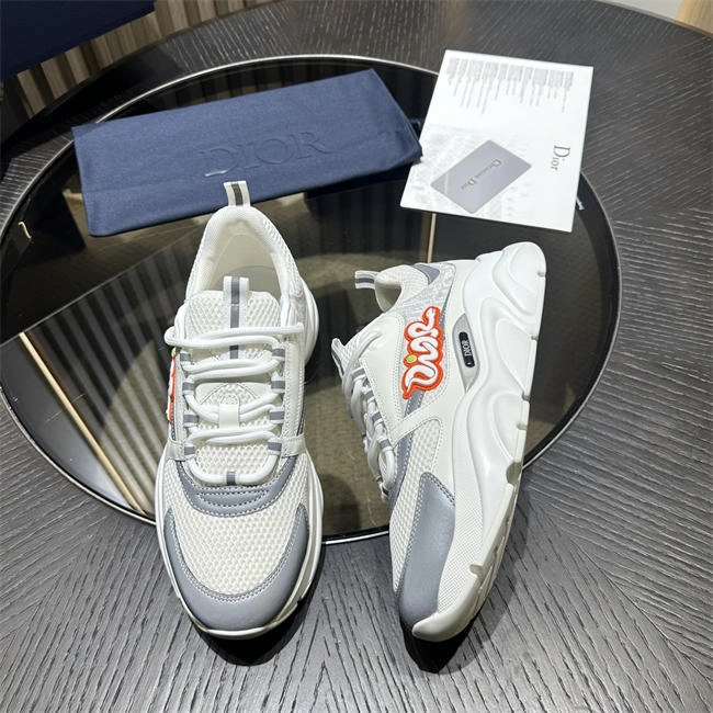 DIOR B22 DR Durable 1066