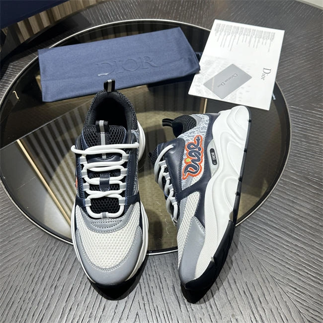DIOR B22 DR StreetReady 1060