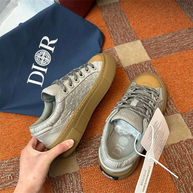 DIOR B33 DR GoAnywhere 1054