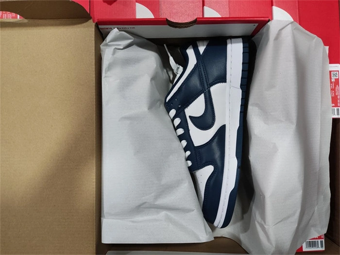 Nike Dunk Low Valerian Blue DD1391- Practical 4819