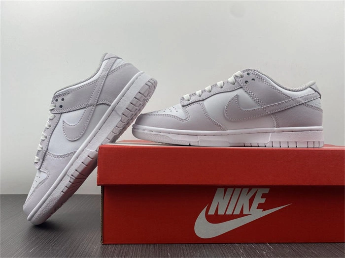 Nike Dunk Low Venice DD1503- Packable 4800