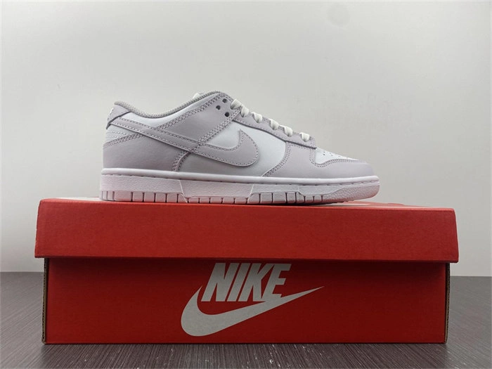 Nike Dunk Low Venice DD1503- Packable 4800