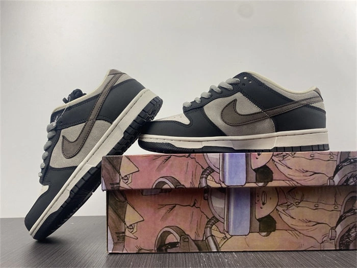 Contemporary Nike SB Dunk LF0039- 4687