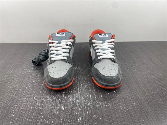 WellDesigned Nike SB Dunk Low 304292- 4555