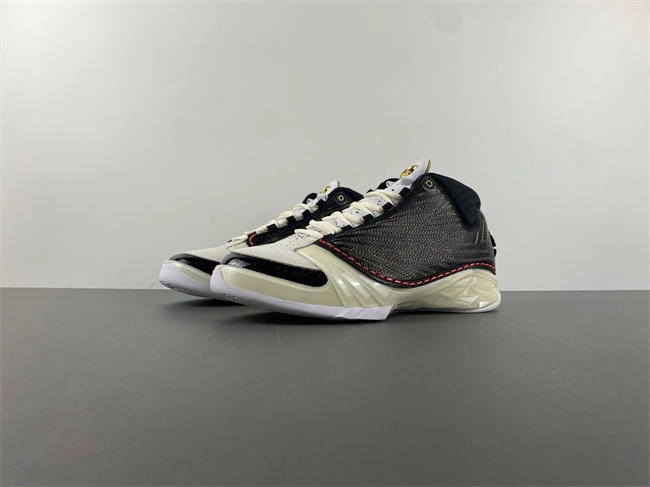 Titan x Air Jordan 23 CZ6222- SunProtective 5287